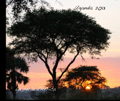 Uganda 2013 book cover