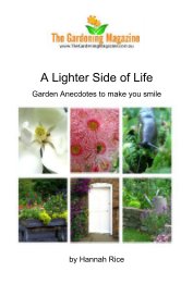 A Lighter Side of Life book cover