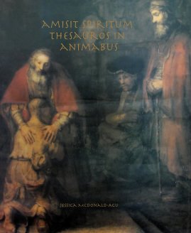 amisit spiritum thesauros in animabus book cover