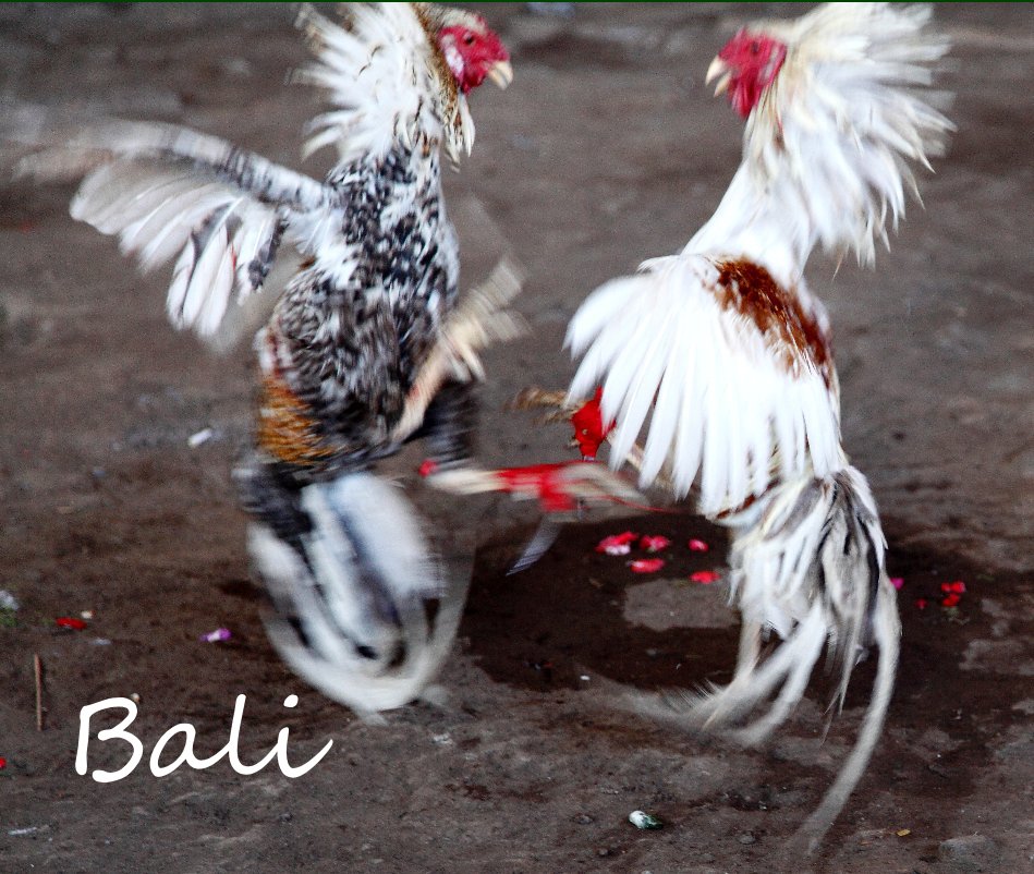 Ver Bali por Bourgeois Jean