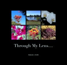 Through My Lens.... book cover
