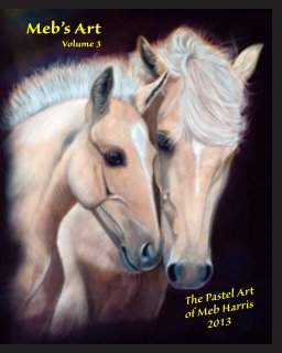Meb's Art Volume 3 book cover