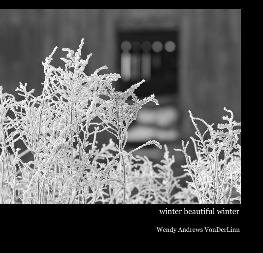 View winter beautiful winter by Wendy Andrews