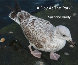 A Day At The Park book cover