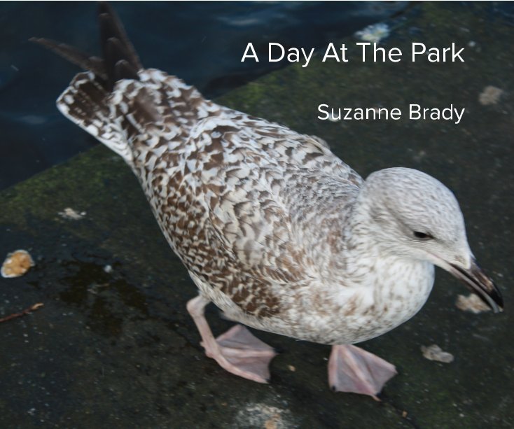 View A Day At The Park by Suzanne Brady