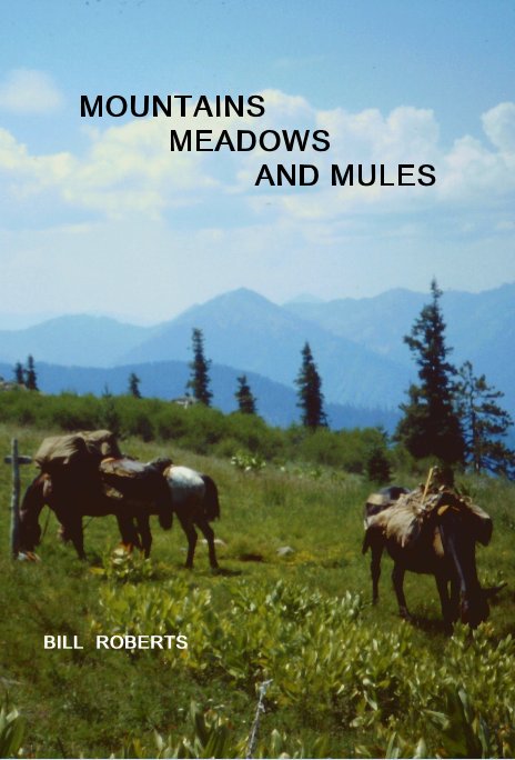 View MOUNTAINS MEADOWS AND MULES by BILL ROBERTS