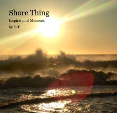 shore thing book cover