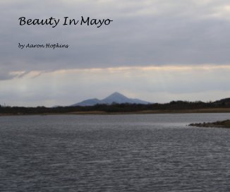 Beauty In Mayo book cover