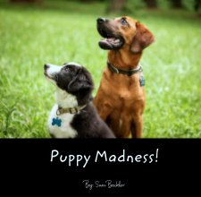 Puppy Madness! book cover