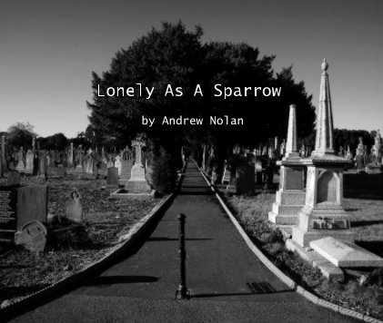 Lonely As A Sparrow book cover