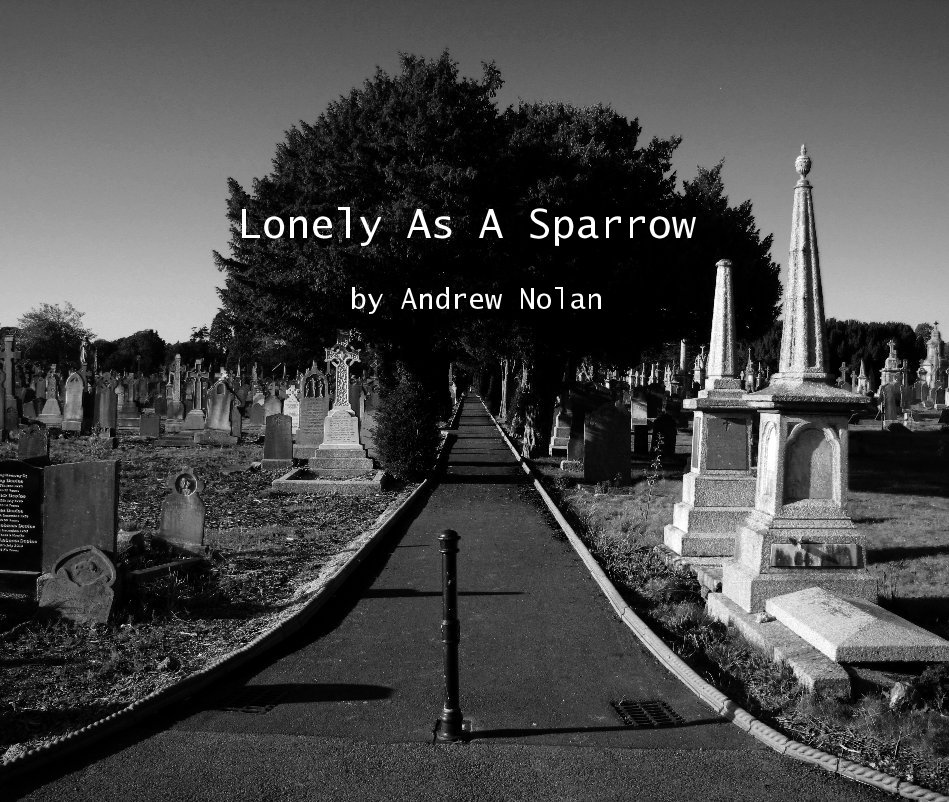 View Lonely As A Sparrow by Andrew Nolan