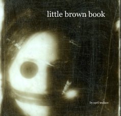 little brown book book cover