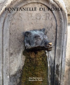 FONTANELLE di ROMA book cover