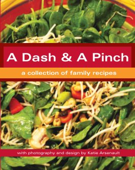 A Dash and A Pinch book cover