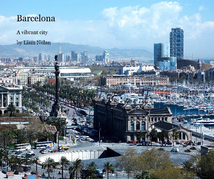 View Barcelona by Liam Nolan