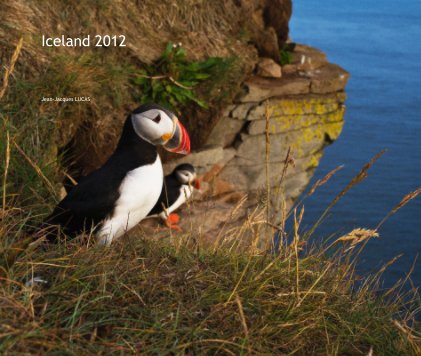 Iceland 2012 book cover