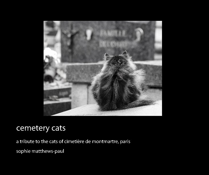 View cemetery cats by sophie matthews-paul