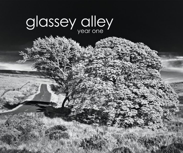 View glassey alley by Ryan Whalley
