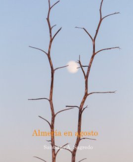 Almería en agosto book cover