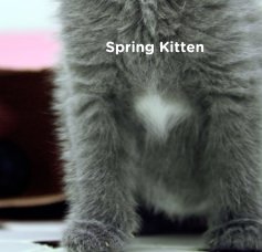 Spring Kitten book cover