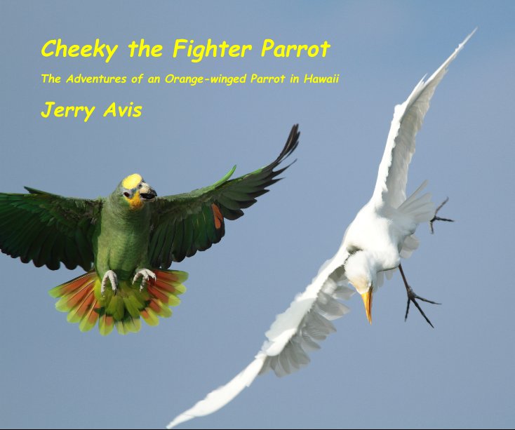 Ver Cheeky the Fighter Parrot por Jerry Avis
