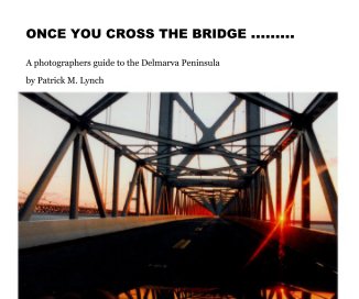 ONCE YOU CROSS THE BRIDGE ......... book cover