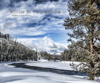 Yellowstone National Park in Winter book cover