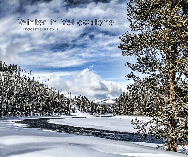 View Yellowstone National Park in Winter by Louis Petkus