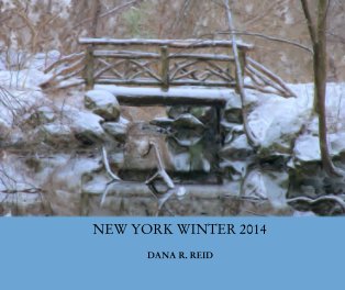 NEW YORK WINTER 2014 book cover