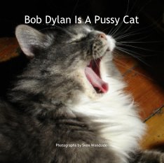 Bob Dylan Is A Pussy Cat book cover