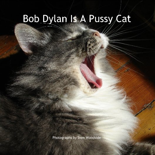 Ver Bob Dylan Is A Pussy Cat por Photographs by Sven Woodside