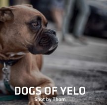 Dogs of Yelo book cover
