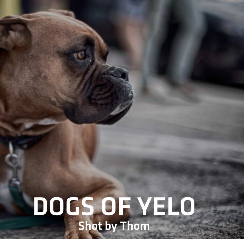 Bekijk Dogs of Yelo op Shot by Thom