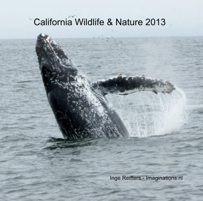 California Wildlife & Nature 2013 book cover