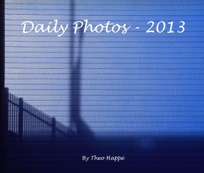 Daily Photos - 2013 book cover