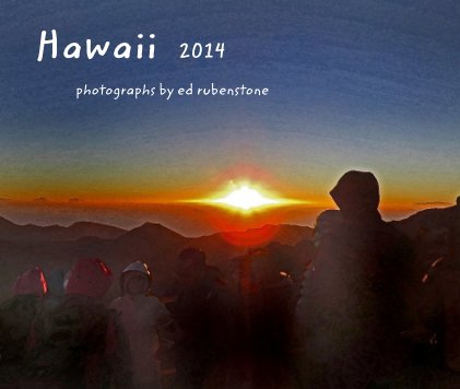 Hawaii 2014 book cover