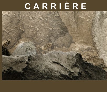 CARRIERE book cover