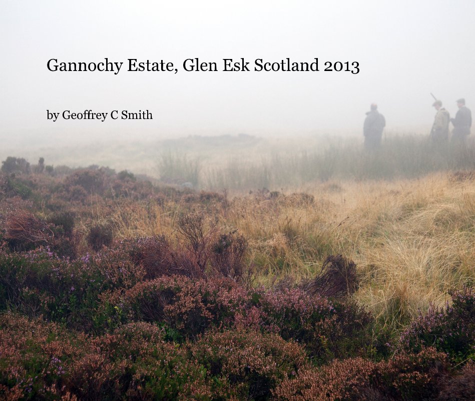 View Gannochy Estate, Glen Esk Scotland 2013 by Geoffrey C Smith