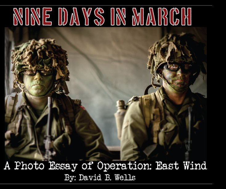 View Nine Days In March by David B. Wells