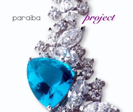 paraiba                  project book cover
