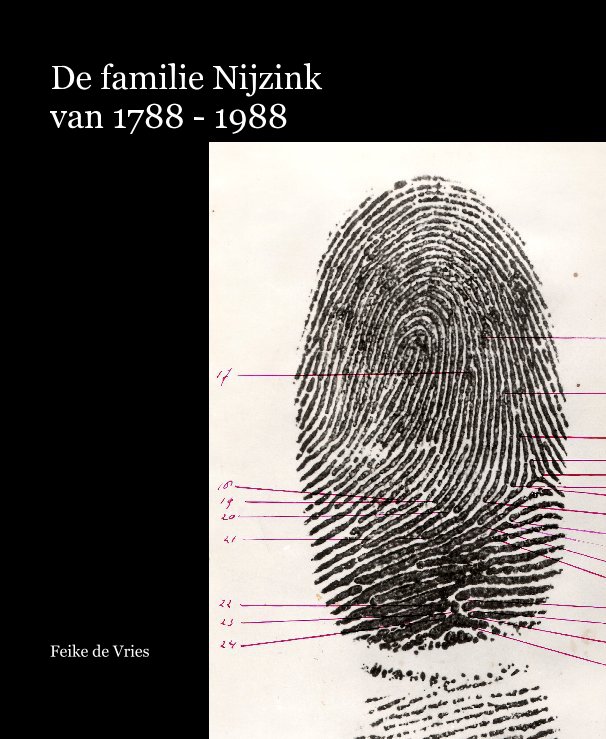View De familie Nijzink van 1788 - 1988 by Feike de Vries
