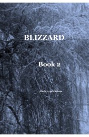 Blizzard Book 2 Linda Ann Martens book cover