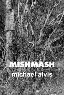 MISHMASH book cover
