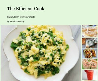 The Efficient Cook book cover