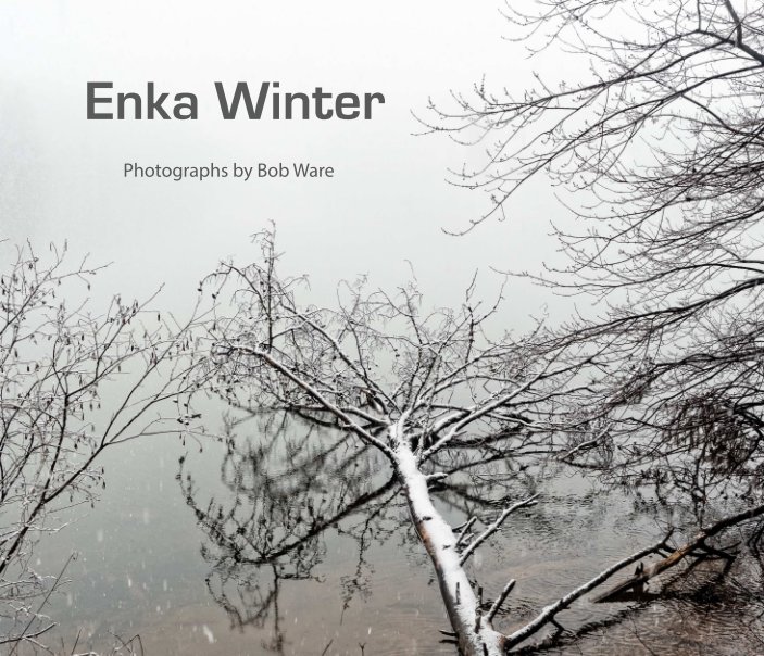 View Enka Winter by Bob Ware
