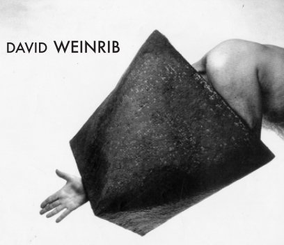 The Art of David Weinrib book cover