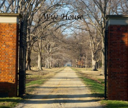 Wye House book cover