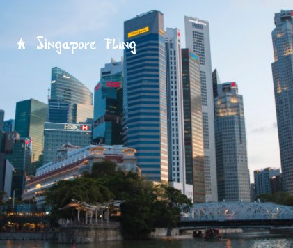 A Singapore Fling book cover