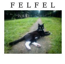 Felfel book cover