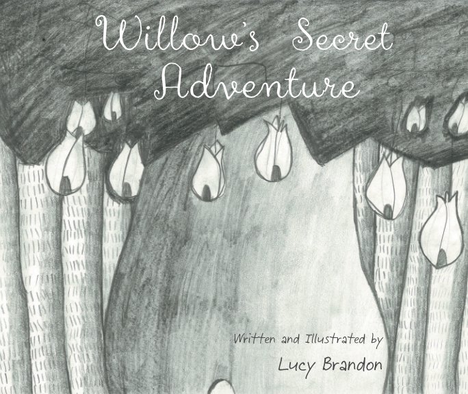 View Willow's Secret softcover by Lucy Brandon